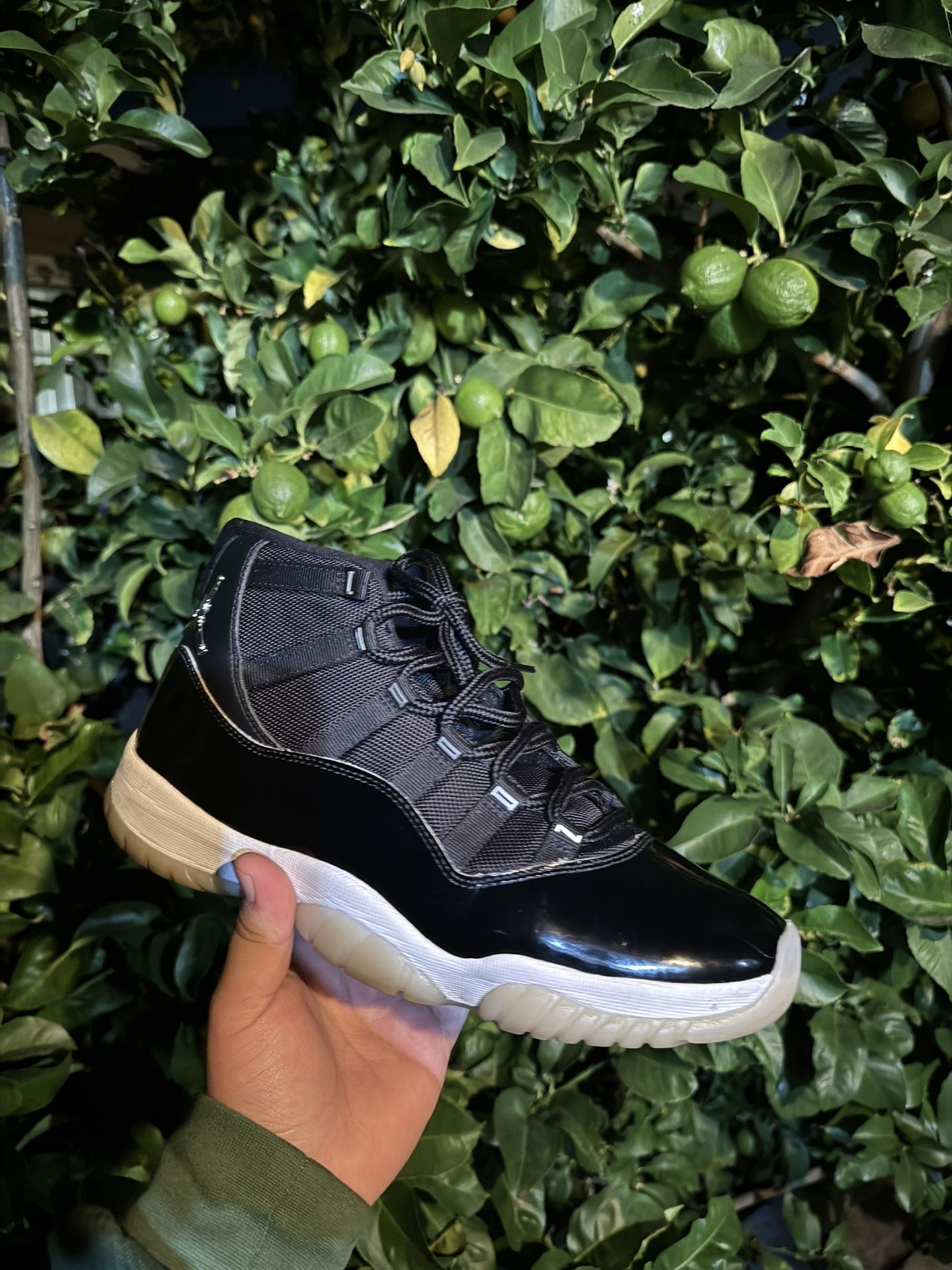 Jordan 11 “Jubilee / 25th Anniversary