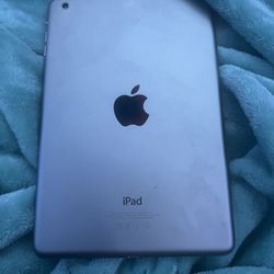 Space Grey Ipad Mini