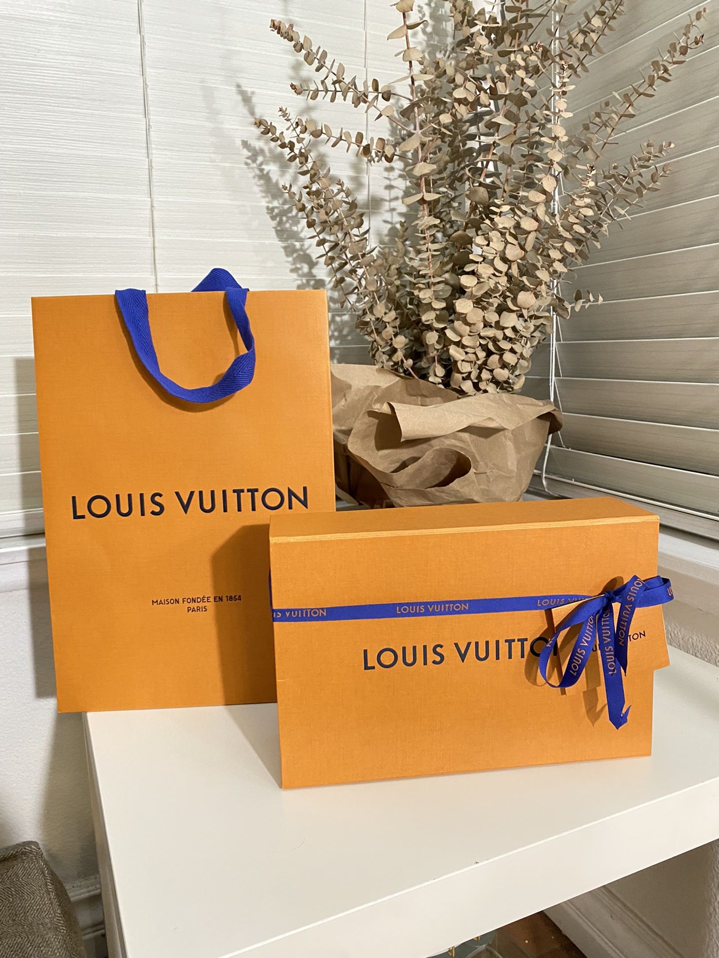 authentic Louis Vuitton Empty Box w/ribbon And Shopping Bag