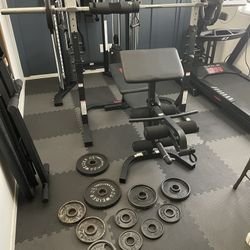 Wider bench with Squat rail, preacher curl and leg curl Home Gym Equipment