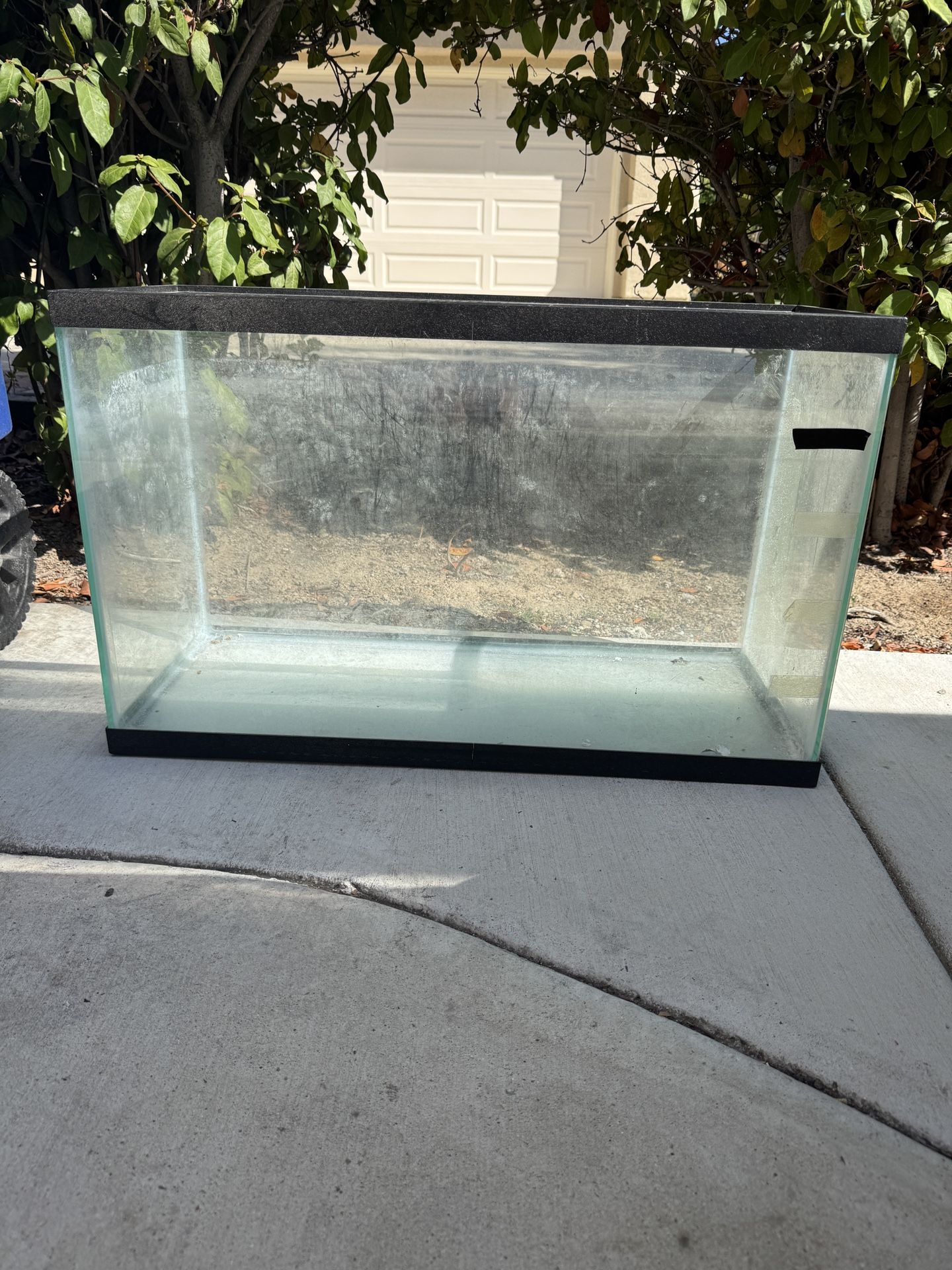 FREE 20 gal tank