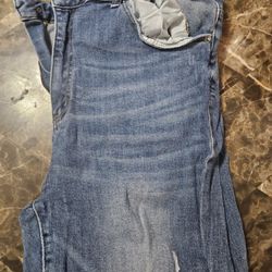 Risen distressed straight leg jeans 2xl