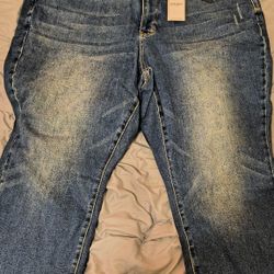 Judy Blue Woman's Jeans 