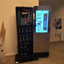 Touch Screen NordicTrack Vault Workout Mirror With Weights And More!