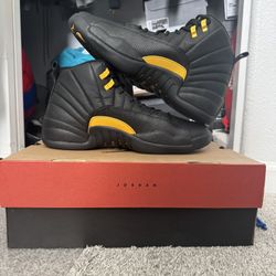 Air Jordan 12 Retro 