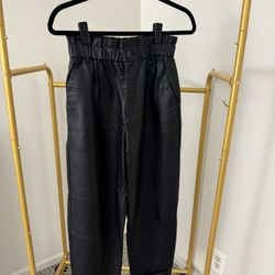 Zara pleather Pants Small
