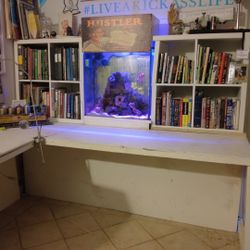 Desk With Salt Water Reef Tank