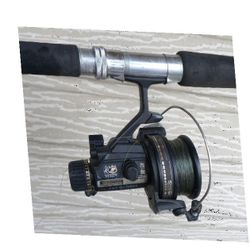 mean participant Swimbait Fishing Rod Built for Fishing Enthusiasts