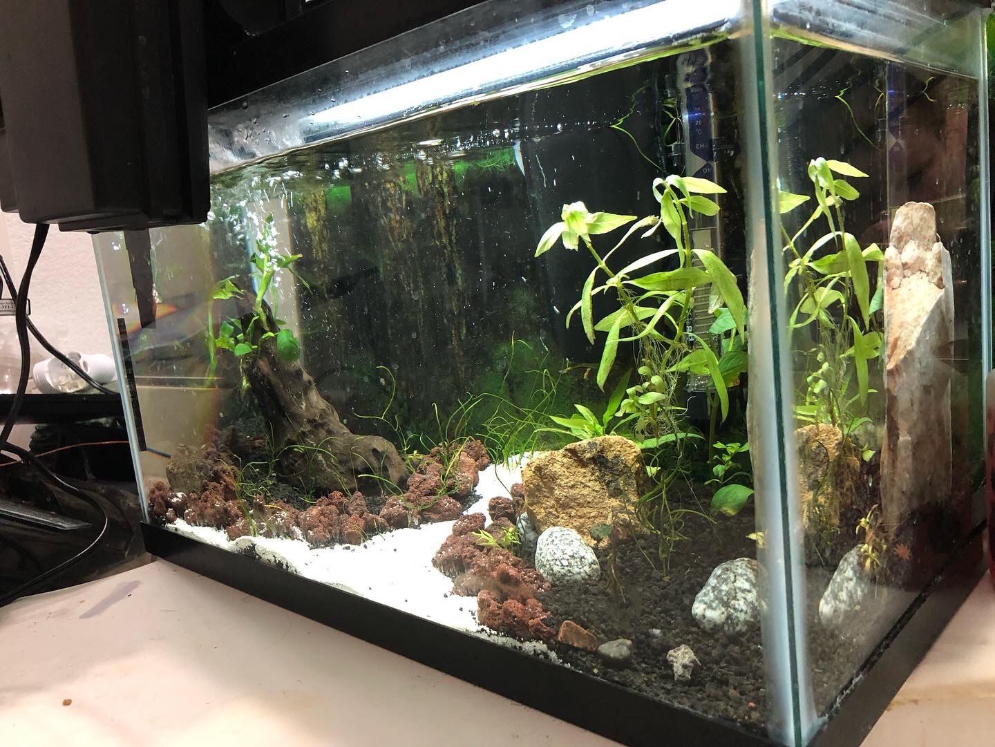 Custom Aquascapes! Custom Aquariums! Read Description Message For More