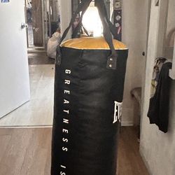 Used Everlast 70 LB HEAVY BAG Boxing Heavy Bag Black 70 lb