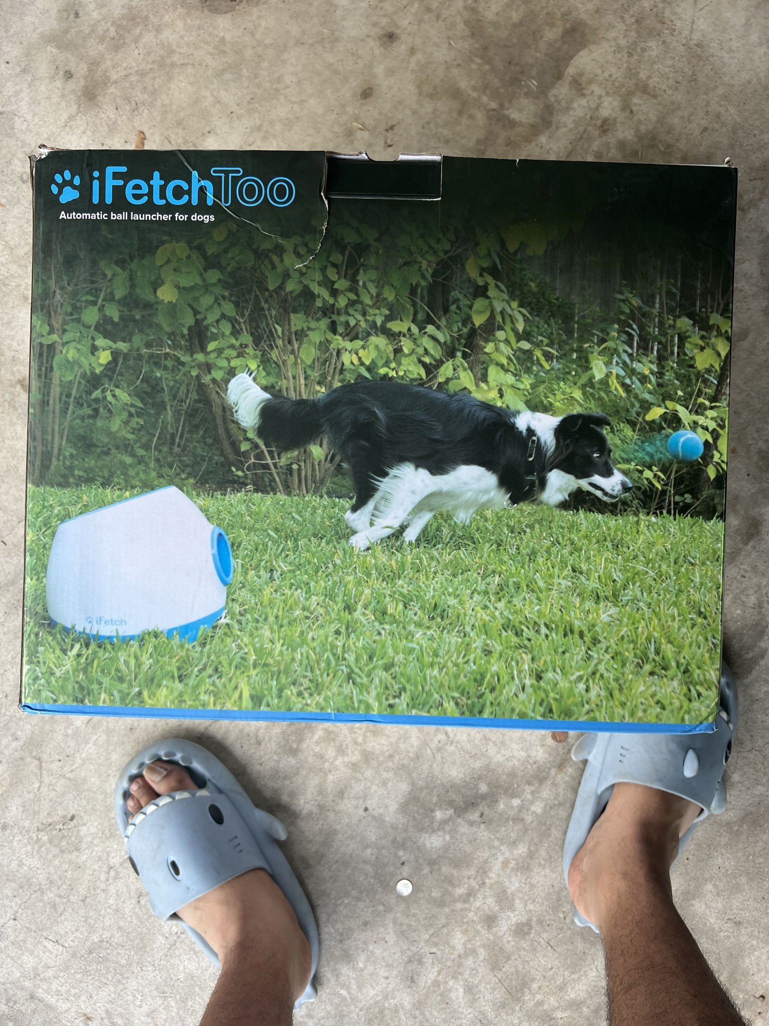 IFetch Too