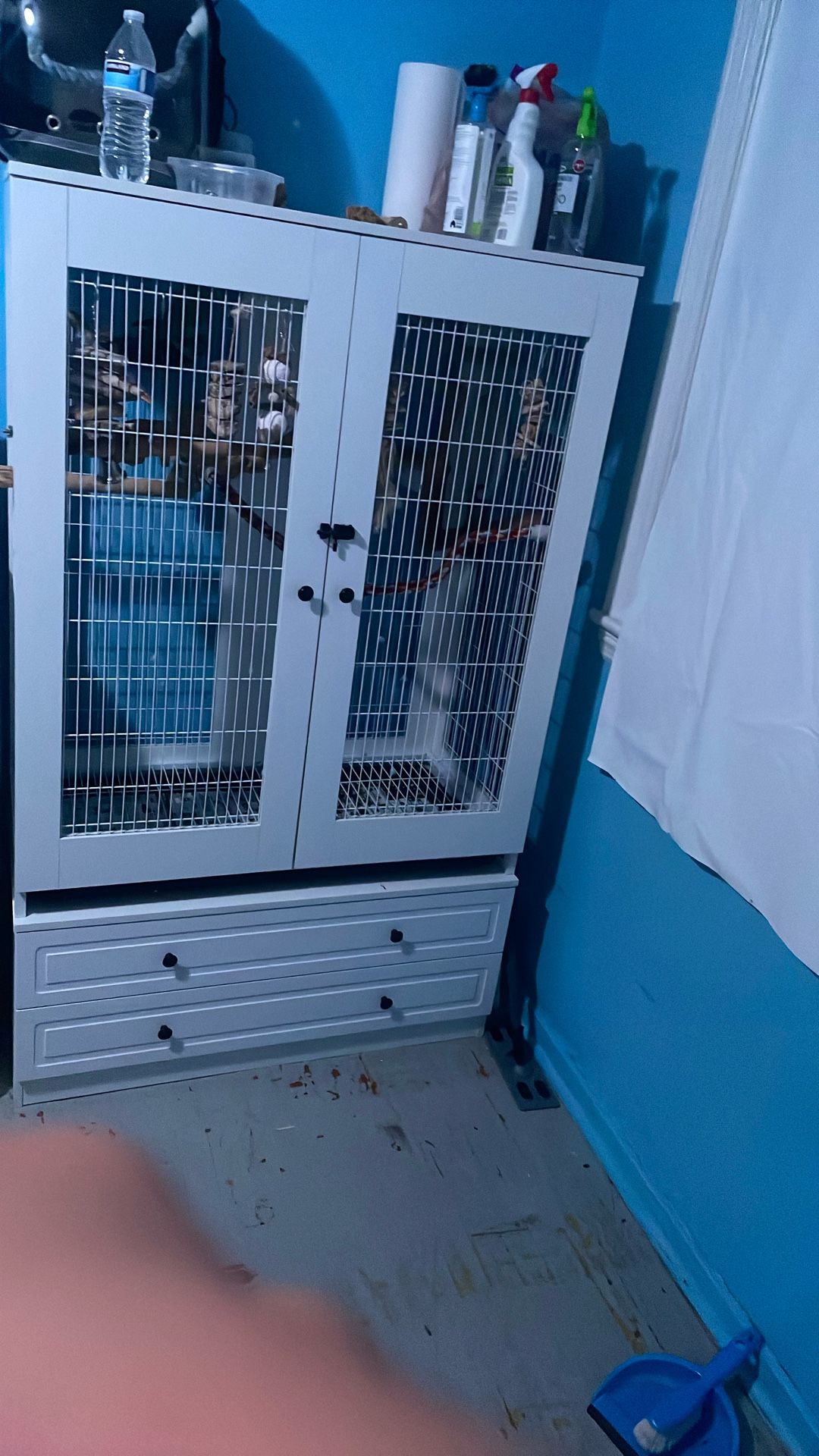 Bird Cage (bird Included)