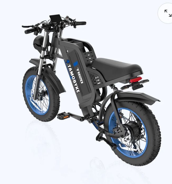 Electric Bike