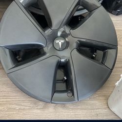 Tesla Caps