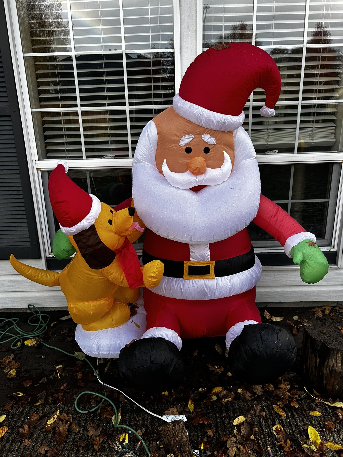 Santa And Puppy Blow Up With Lights inside