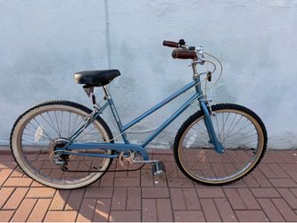 Vintage Shwinn