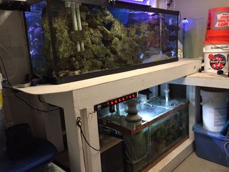 Aquarium 155 gallon Bow front dual overflow $1700