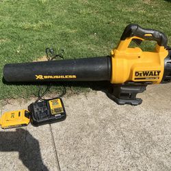 Dewalt leaf blower with 20V battery+charger $149 WORKS GREAT!