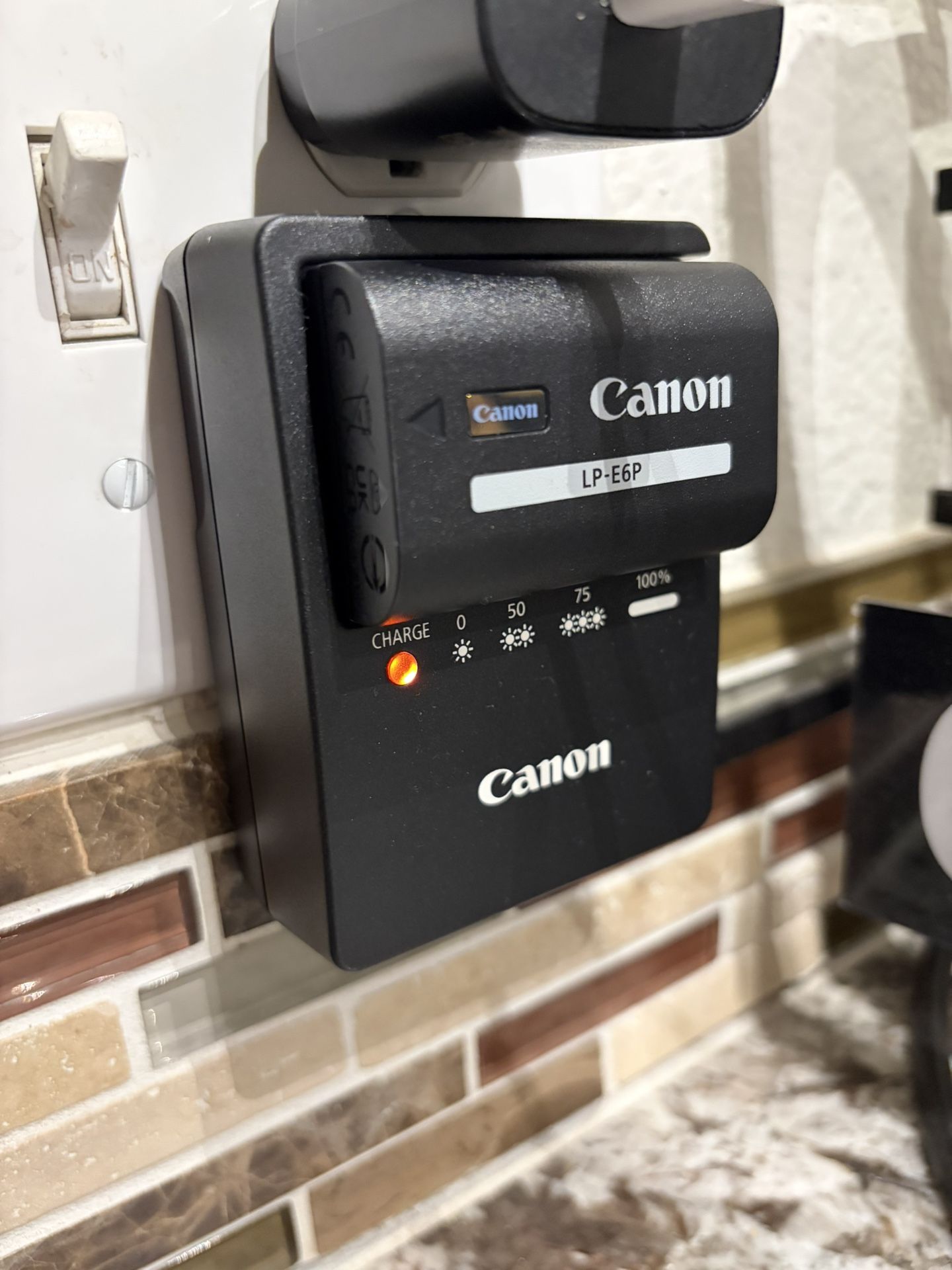 Canon LC-E6 Charger And LP-E6P Battery $150