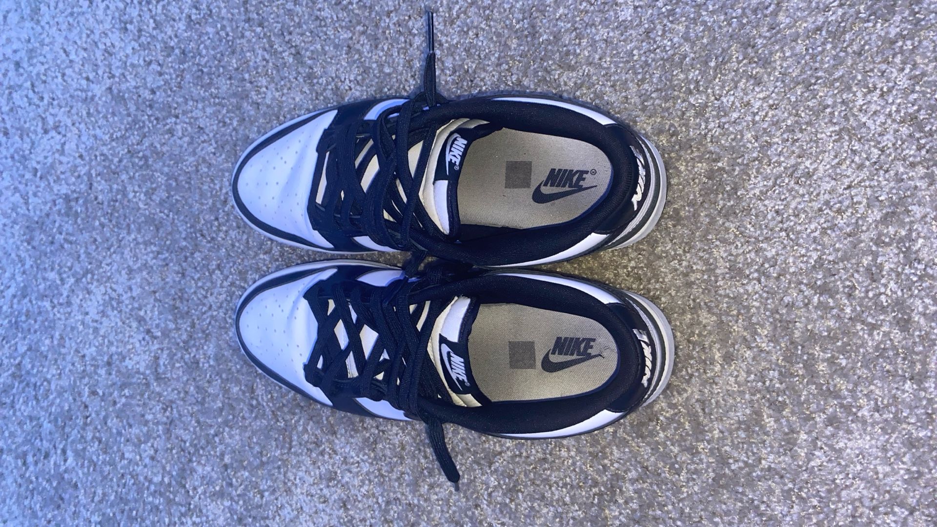 Panda Dunks Size 11 Slight Creases