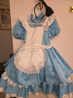 Alice in wonderland costume