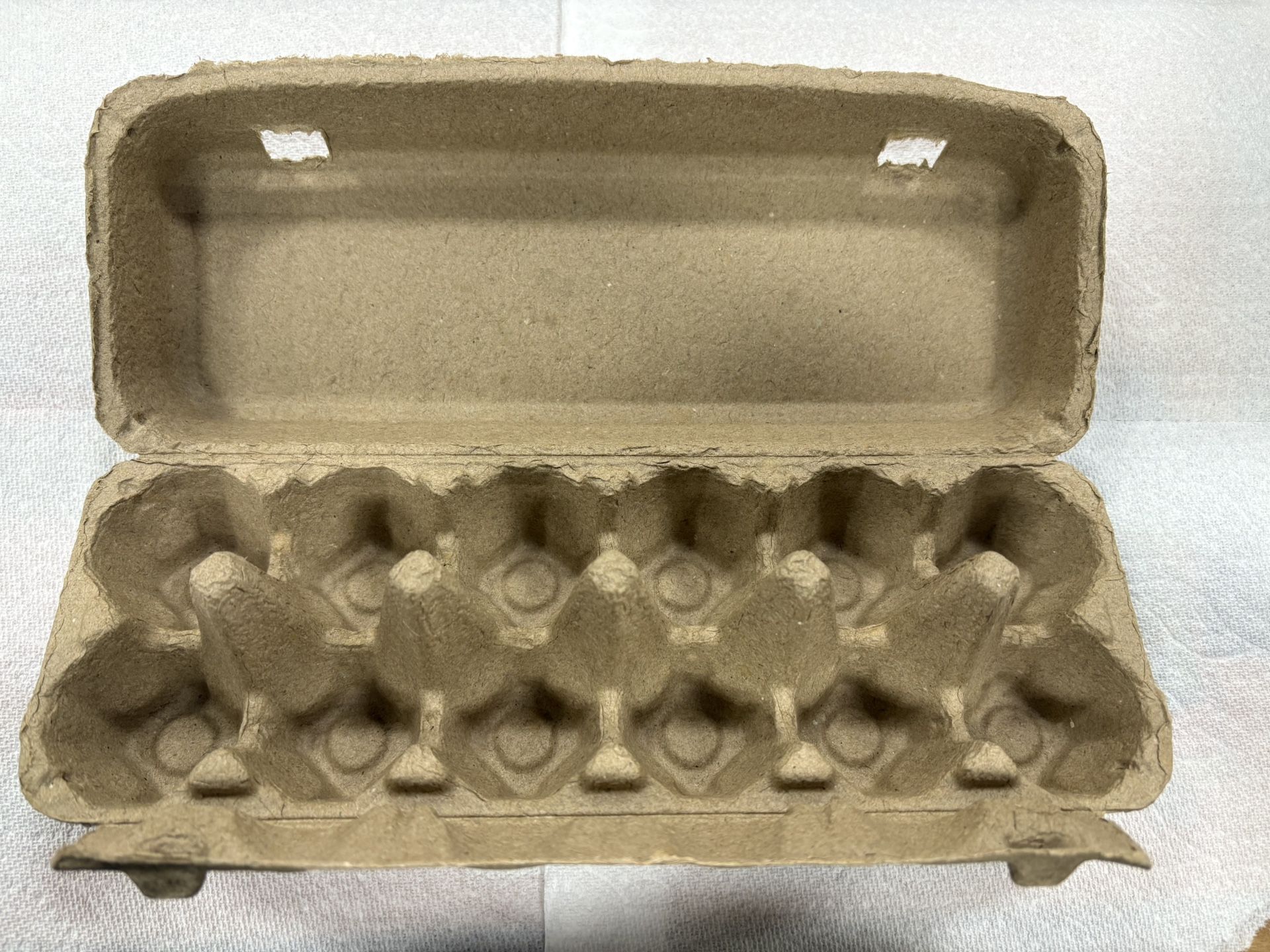 Brand New 12 Egg Cartons