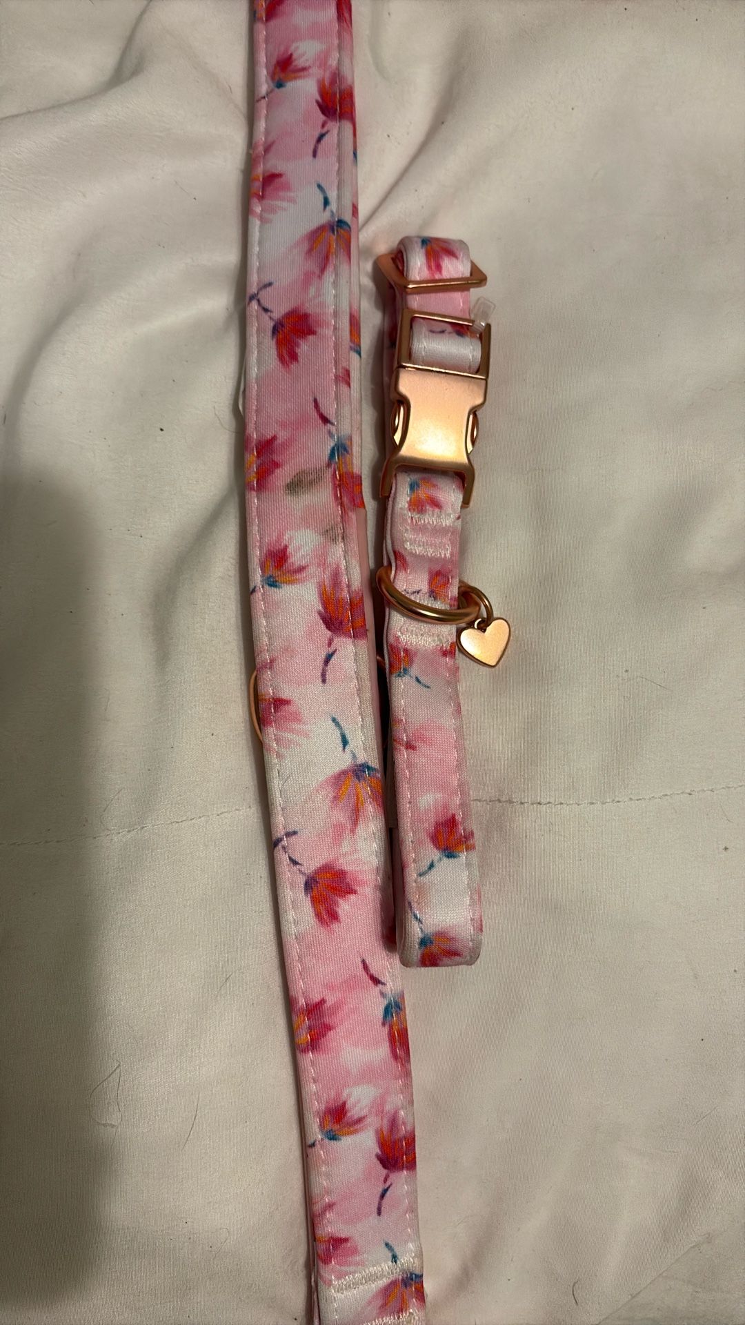 Dog Pink Collar & Leash