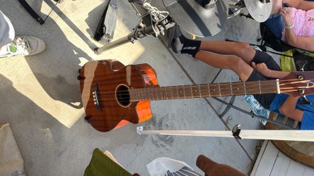Acoustic bass guitar.