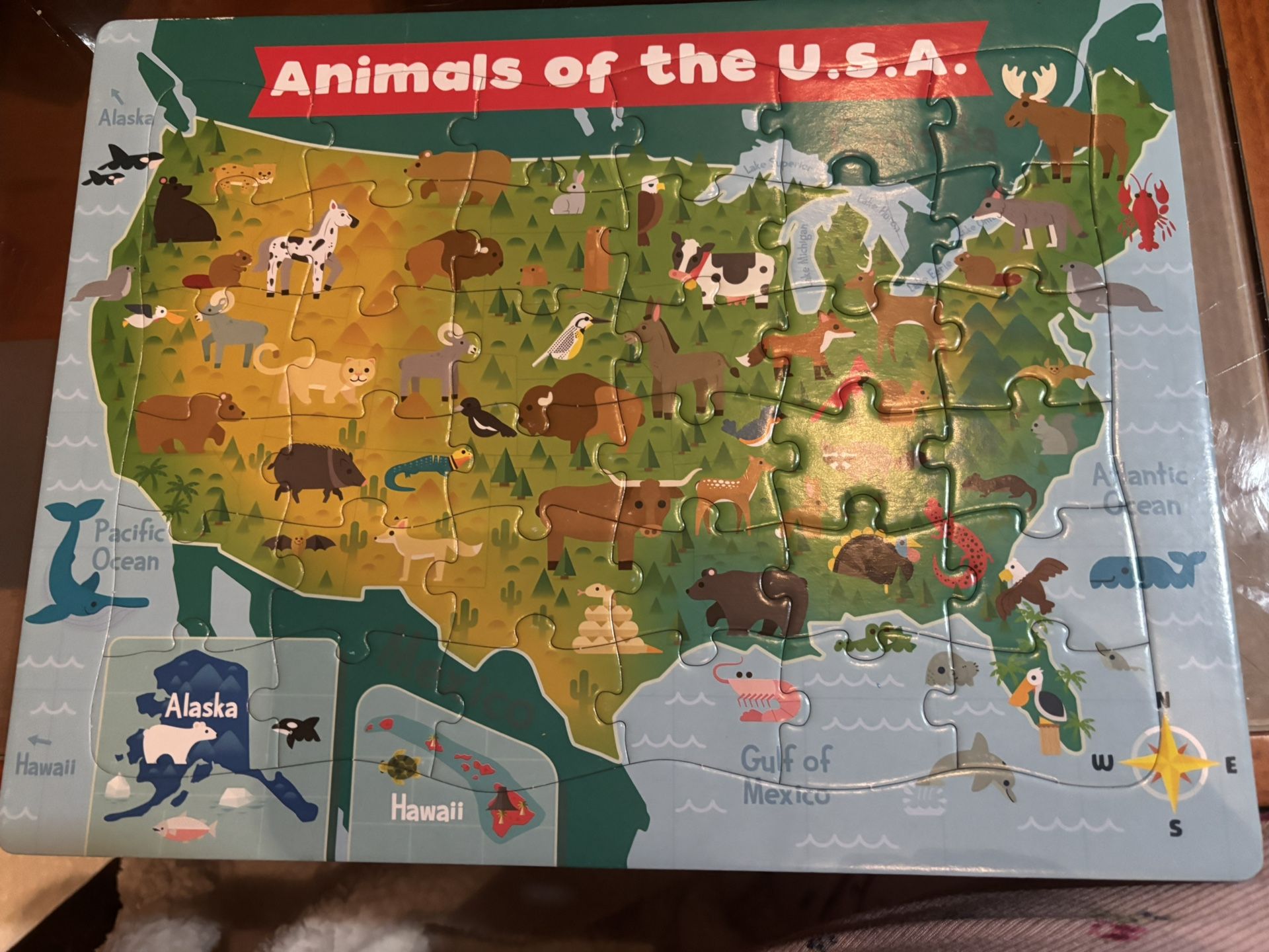 4 Pack Puzzles 36-48 Pieces