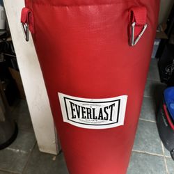 Boxing Training Bag 