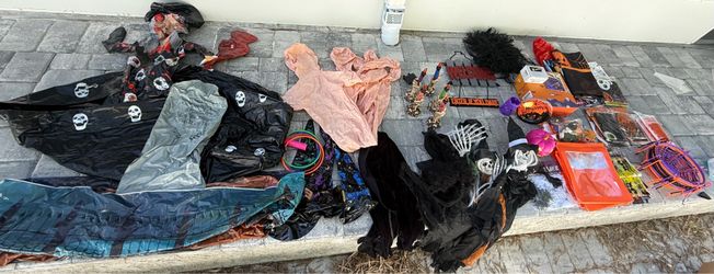 🎃 Halloween Decorations Lot – $150 OBO 🎃