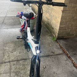 SWAGTRON. EB7 36v