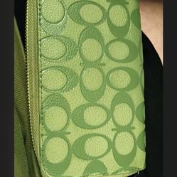 A Variety Of Coach, Purses, Wallet, And Shoes