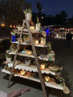 Succulent Arrangements For Gifts