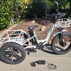 Caddy Tricycle Electric Assisted - $2,000