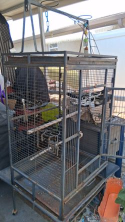 Bird with cages