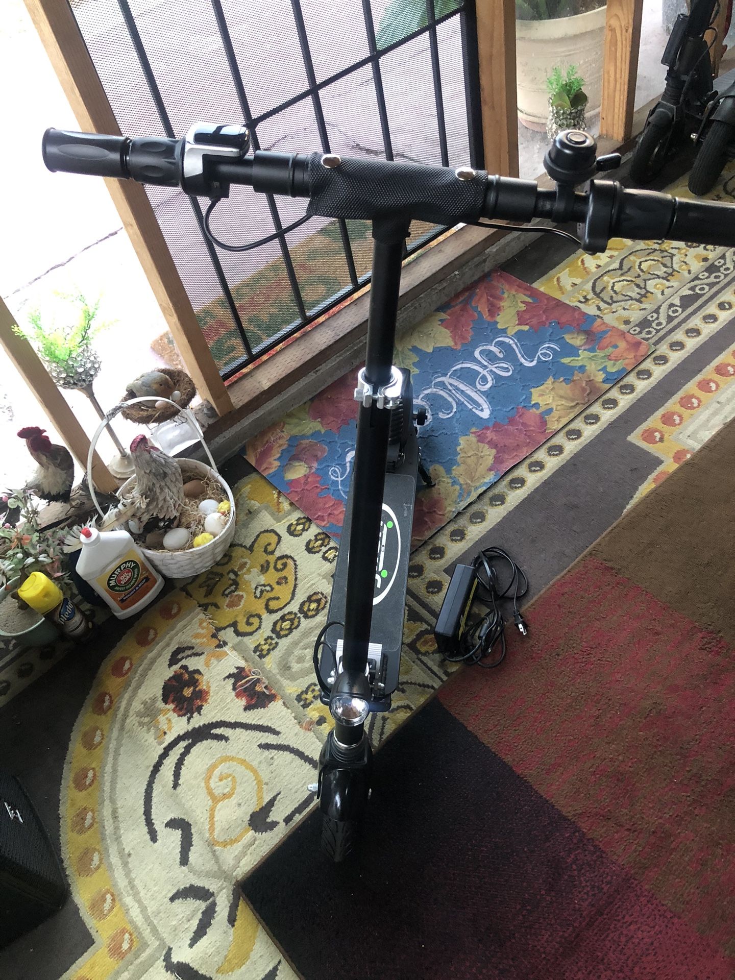 Electric Scooter