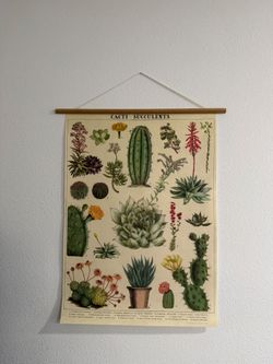 Free cactus poster