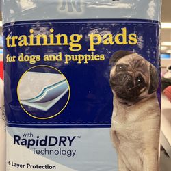 Dog Supplies