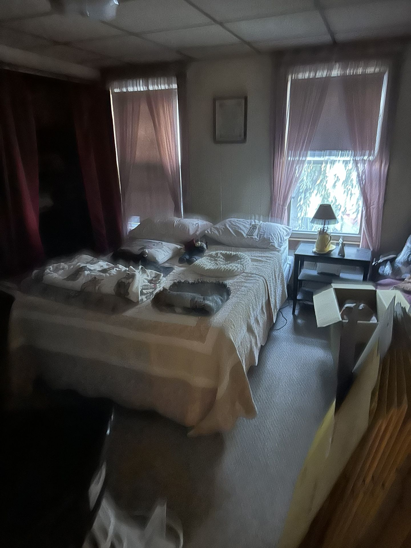 Hospital Bed