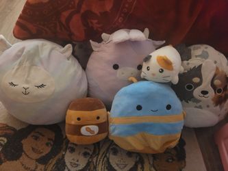 Squishmellow bundle