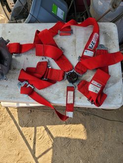 5 point rasing belt