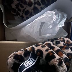 Uggs Slippers 