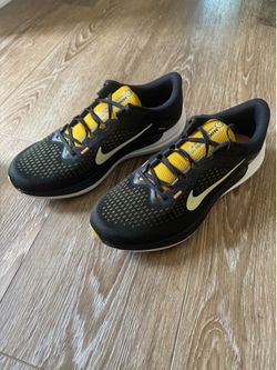 Nike Air winflo 10 size 13
