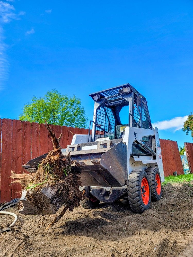 Bobcat Work