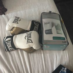 Brand New 12oz Everlast Boxing Gloves 