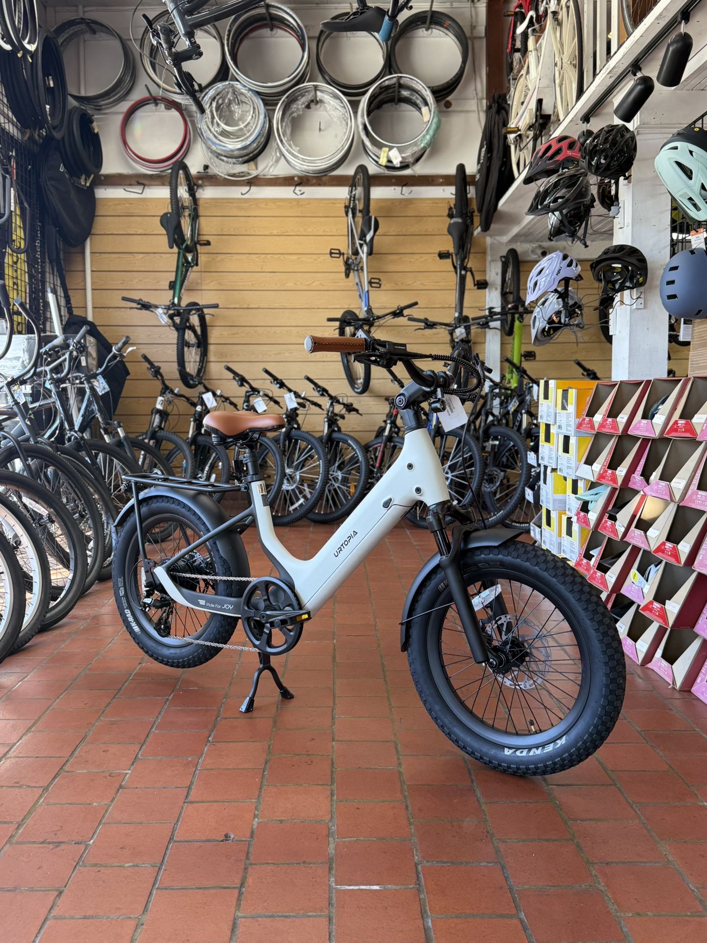 Electric Bike - Carbon Frame