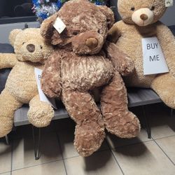 Teddy's Bears, Gian Teddy Brand