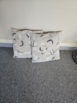 2 Decorative Pillows
