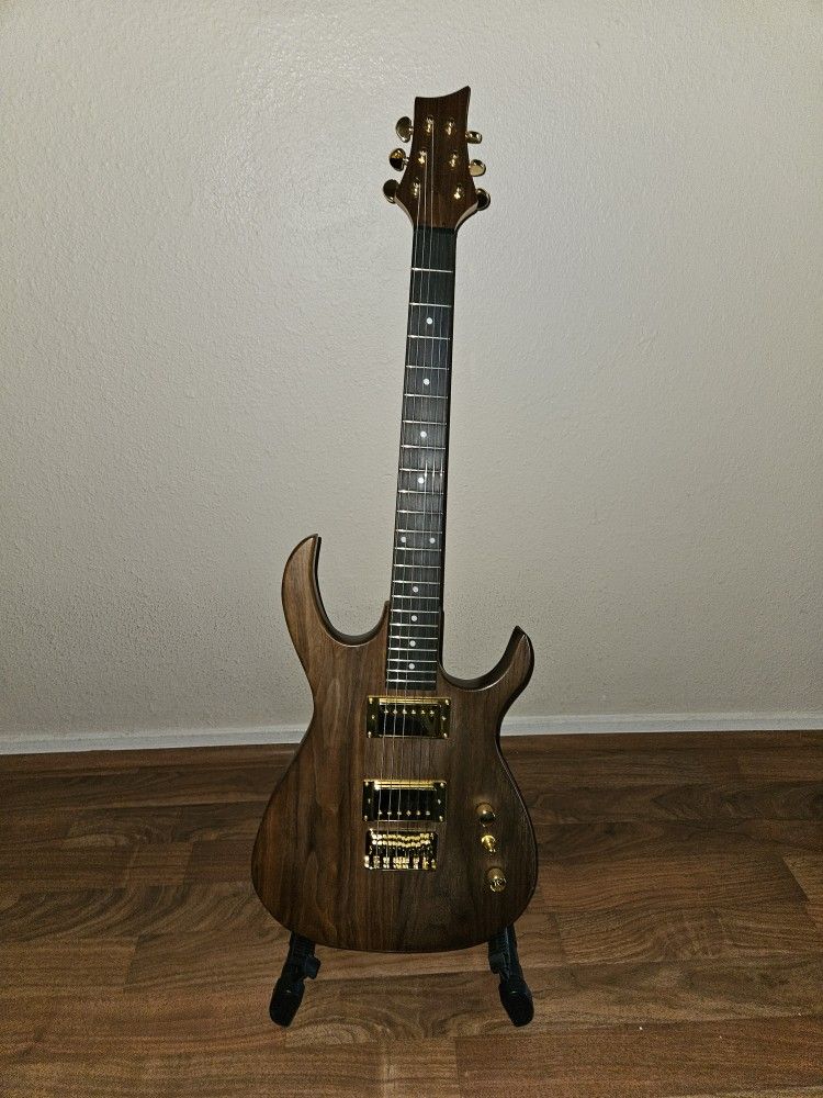 Electric Guitar